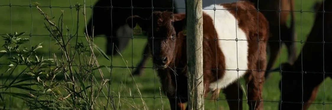 Personal Data Protection